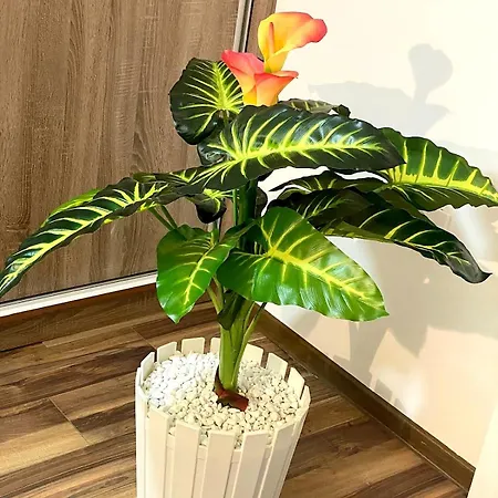 New Modern Duplex With Free Parking * Prijepolje