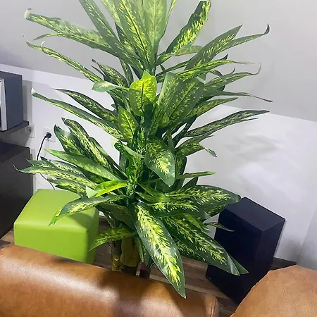 New Modern Duplex With Free Parking