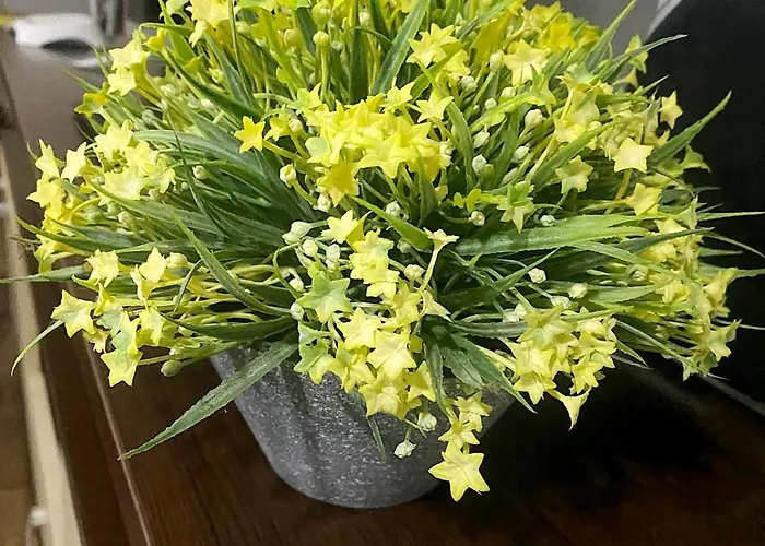 New Modern Duplex With Free Parking Prijepolje