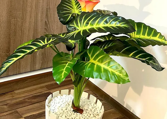 New Modern Duplex With Free Parking * Prijepolje