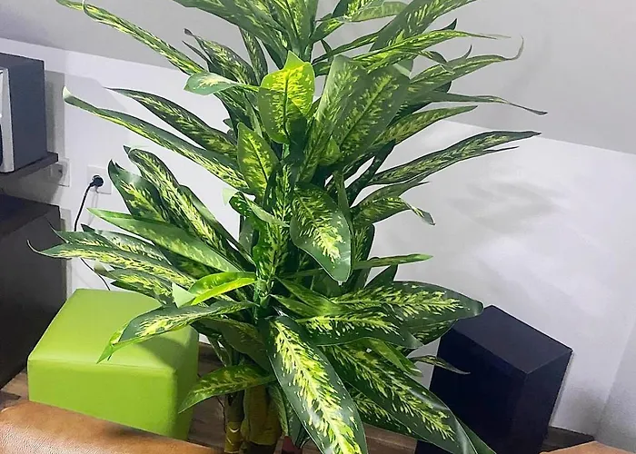 New Modern Duplex With Free Parking